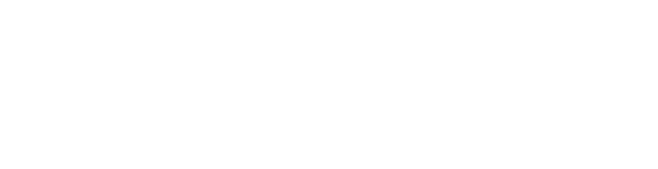 Oasis One